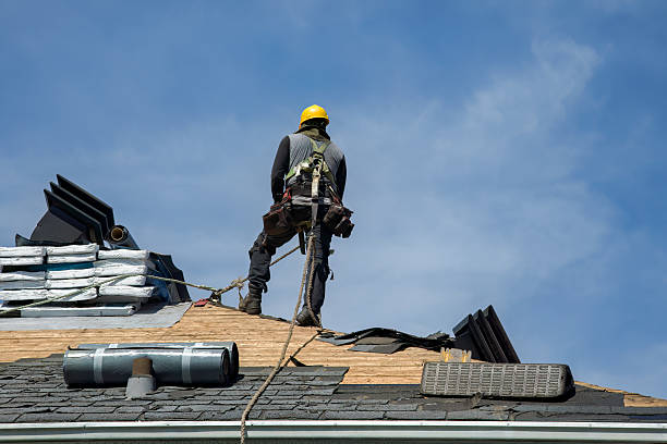 Professional Gutter Installation technician working in Pierson, FL